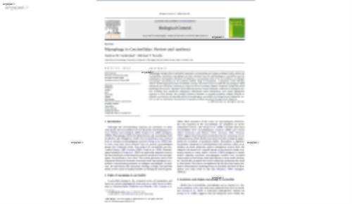 Mycophagy in Coccinellidae: Review and synthesis